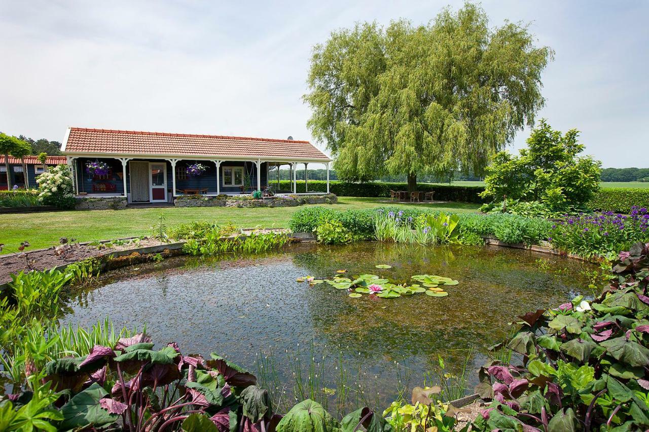 Inge's Cottage Bergen op Zoom Exteriör bild